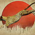 Cheetah On The Run
