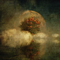 Full moon over misty water